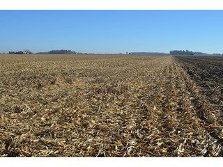 Tracts 4 & 5 - FARMLAND AUCTION - 165.5+/- ACRES OFFERED IN 5 TRACTS OR COMBINATIONS IN EAST ALLEN COUNTY